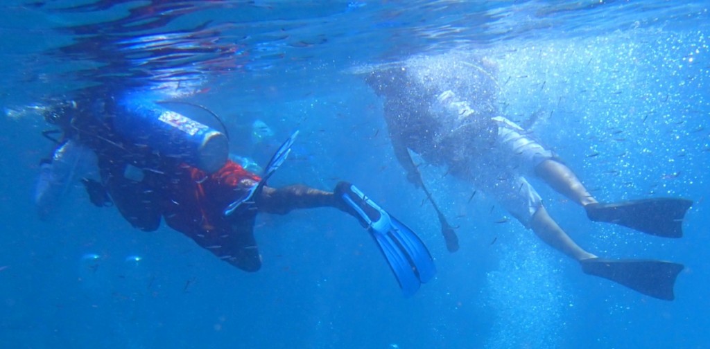 Two divers snorkelling