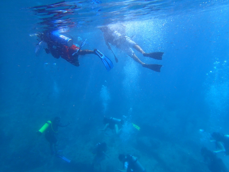 Two divers snorkelling above a large crowd of divers